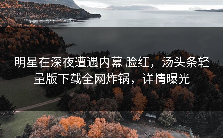 明星在深夜遭遇内幕 脸红，汤头条轻量版下载全网炸锅，详情曝光