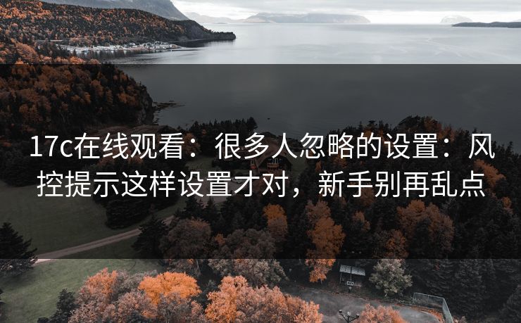 17c在线观看：很多人忽略的设置：风控提示这样设置才对，新手别再乱点